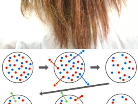 髪の毛がヤンキーみたく キンキン キラキラ してしまうのはなぜ わかりやすく説明してみる Liss 恵比寿 フリーランス美容師のみの美容室 代表 渡辺真一 地毛に戻す美容師 コンプレックス お悩み相談