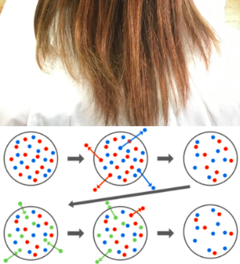 髪の毛がヤンキーみたく キンキン キラキラ してしまうのはなぜ わかりやすく説明してみる Liss 恵比寿 フリーランス美容師のみの美容室 代表 渡辺真一 髪を綺麗にする仕事 コンプレックス お悩み相談 髪の毛がヤンキーみたく キンキン キラキラ してしまうのはなぜ わかりやすく説明してみる Liss 恵比寿 フリーランス美容師のみの美容室 代表 渡辺真一 髪を綺麗にする仕事 コンプレックス お悩み相談