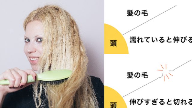 自分でのブローは痛むかも 間違ったブローは枝毛 切れ毛の原因にも Liss 恵比寿 フリーランス美容師のみの美容室 代表 渡辺真一 地毛に戻す美容師 コンプレックス お悩み相談